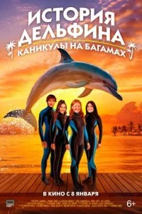  История дельфина: Каникулы на Багамах  смотреть онлайн смотреть онлайн бесплатно в хорошем HD качестве на лордфильм
